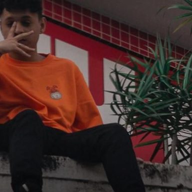 TheFox
