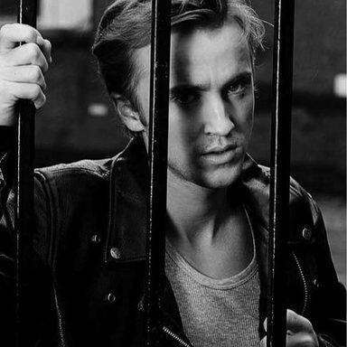Tom Felton photo 16