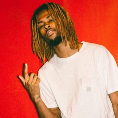 Tóy Tóy T-Rex photo 15