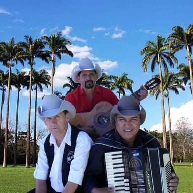 Trio Brasil Sertanejo