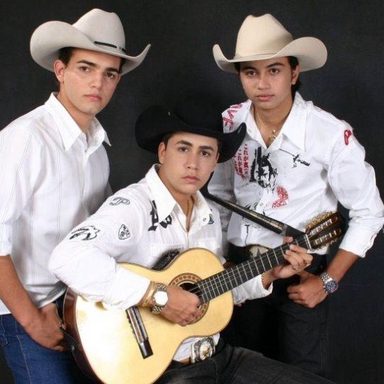 Trio Viola de Ouro