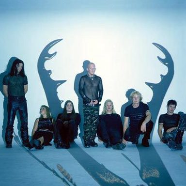 Tristania photo 32