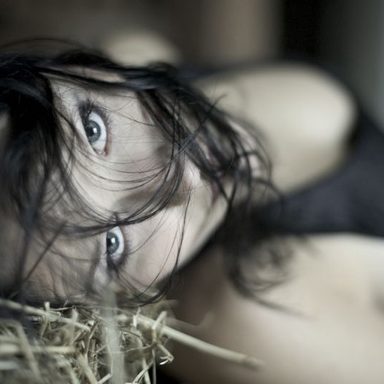 Tristania photo 13