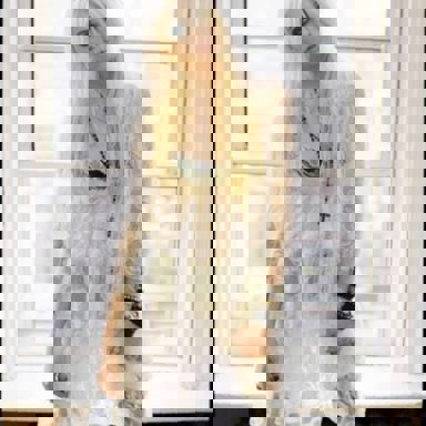 Taylor Momsen photo 18