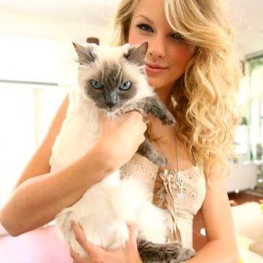 Taylor Swift photo 677