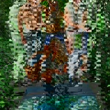 Teenangels (Casi Ángeles)