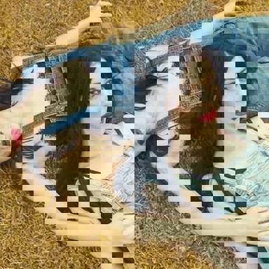 The Veronicas photo 16