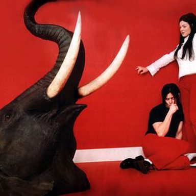 The White Stripes photo 41