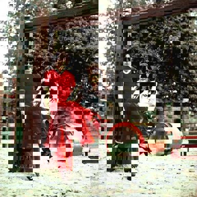 The White Stripes photo 12