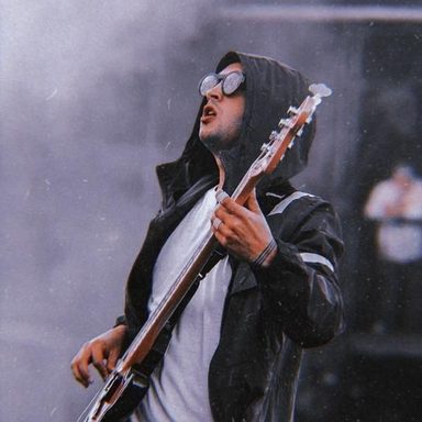 Twenty One Pilots photo 29