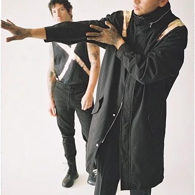 Twenty One Pilots photo 44