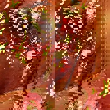 Umineko no Naku Koro Ni