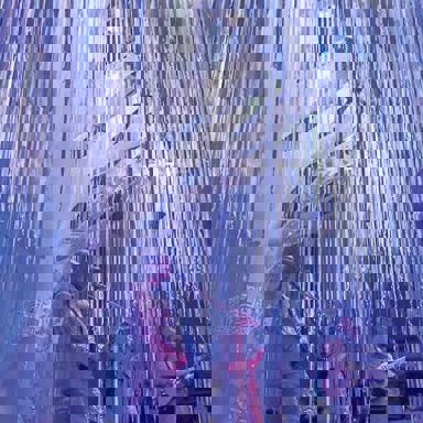 Ungambikkula photo 15