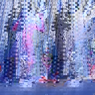 Ungambikkula photo 16