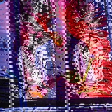 Ungambikkula photo 11