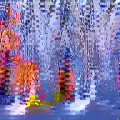 Ungambikkula photo 17