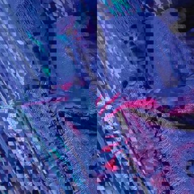 Ungambikkula photo 9