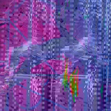 Ungambikkula photo 14