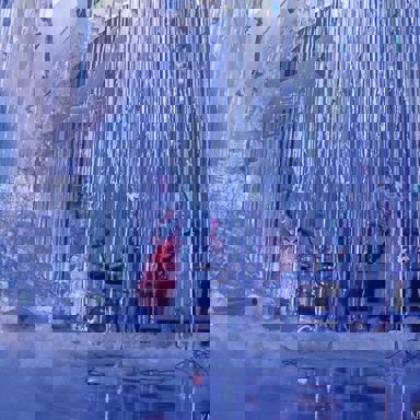 Ungambikkula photo 18