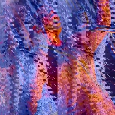 Ungambikkula photo 10