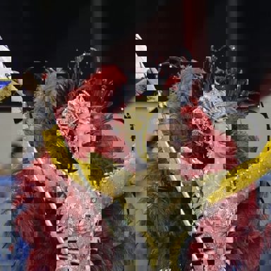 União do Parque Curicica