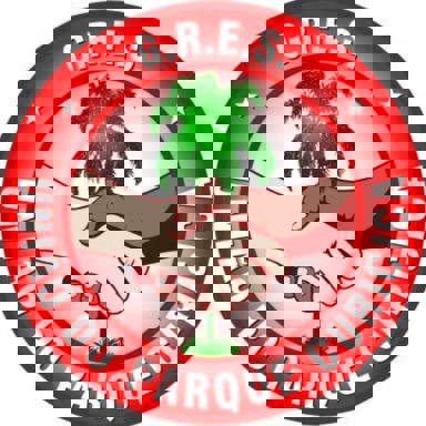 União do Parque Curicica