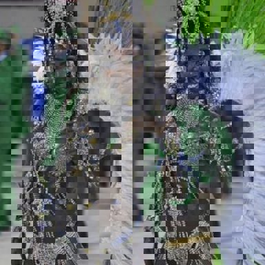 União do Parque Curicica photo 9