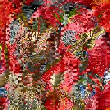 União da Vila do Iapi