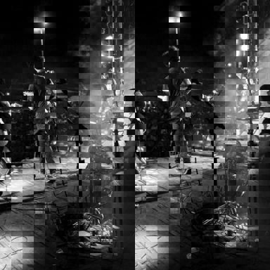 Universo Paralelo das Palhetas