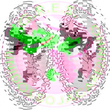 Unidos do Jacarezinho