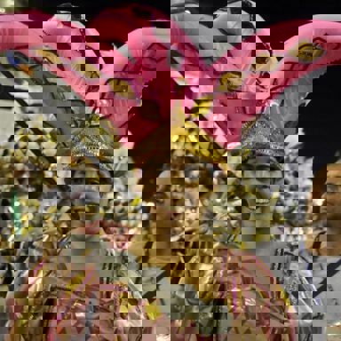 Unidos do Jacarezinho