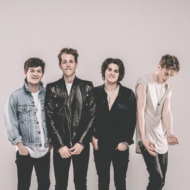 The Vamps photo 21