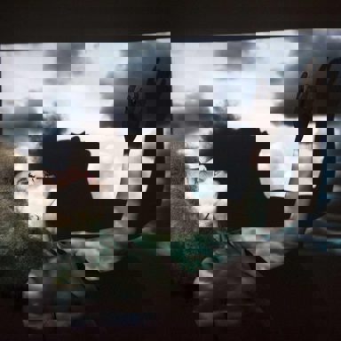 Valerie Renay photo 9