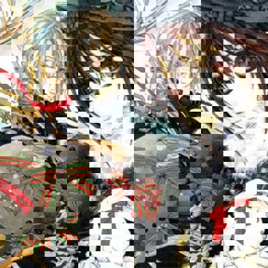 Vampire Knight photo 18