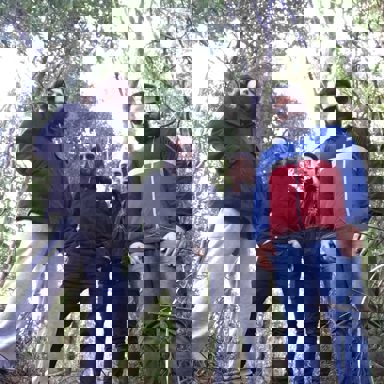 Velho Buffalo Ruffus