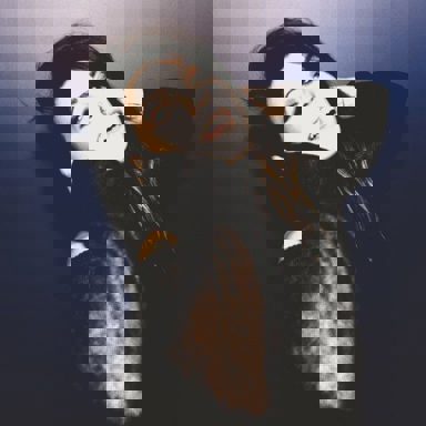 VersaEmerge photo 18