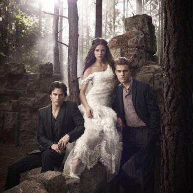 Vampire Diaries photo 26