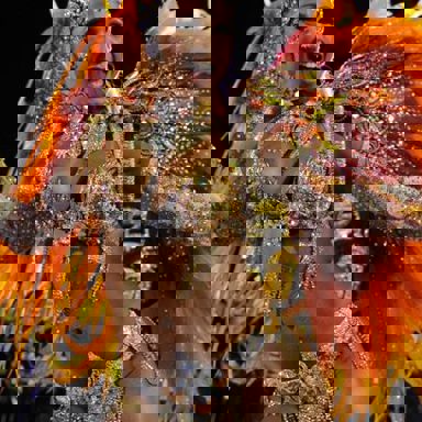 Valesca Popozuda photo 13