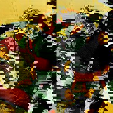 Vampire Weekend photo 10