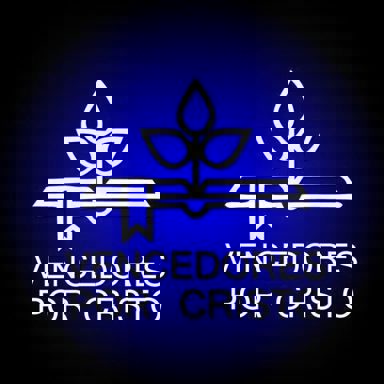 Vencedores Por Cristo