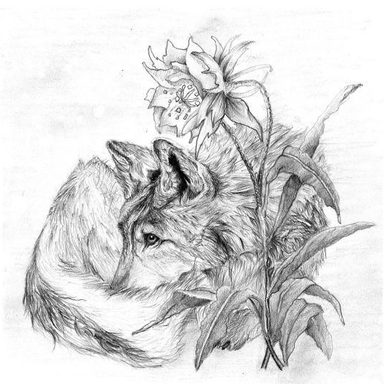 Wolf's Rain