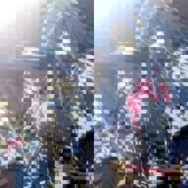 Yami To Boushi To Hon No Tabibito