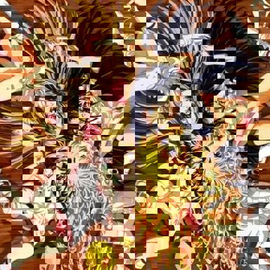 Yami To Boushi To Hon No Tabibito