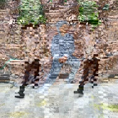 Yan Marques photo 18