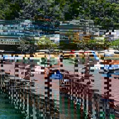 Yan Marques photo 10