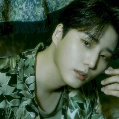 Young K (DAY6)
