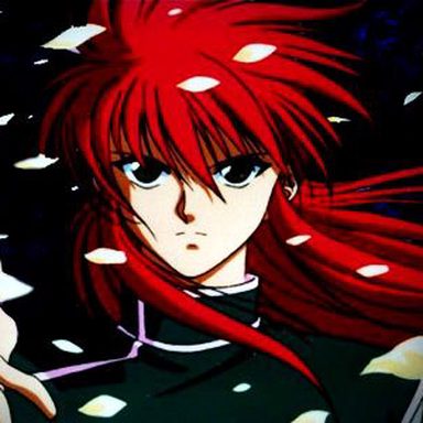 Yu Yu Hakusho photo 10