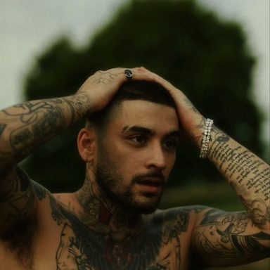 ZAYN photo 44