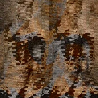 Zé Tapera e Chiquinho