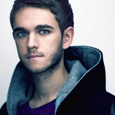 Zedd photo 10
